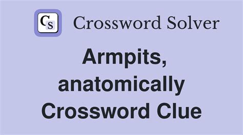 armpit crossword clue